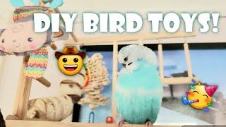 5 DIY Budgie Toys! *foraging*