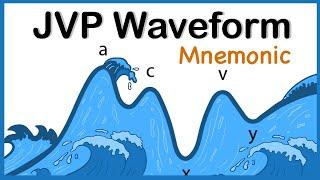 Jugular Venous Pressure (JVP) Waveform Mnemonic