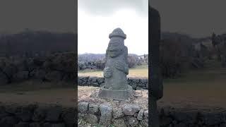 Volcanic Rocks on Jeju Island  #shorts