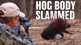 Texas Hog Hunting with Suppressed Rifle | Horsepower