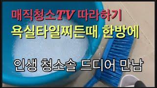 [욕실청소] 욕실바닥청소 초보도 손쉽게/매직청소tv 따라하기/인생청소솔/청소템소개