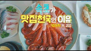 속초가서 맛집 쓸고 왔습니다! 후덜덜한 맛집 리스트 대공개!!