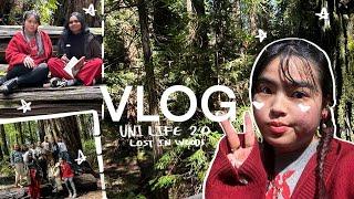 Vlog 20 | Trip to Montgomery Woods! (A Vlog Inspired by Studio Ghibli) 