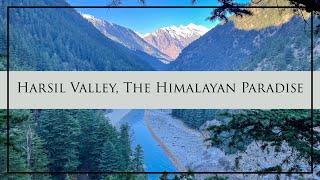 The Himalayan paradise | Harsil Valley Cinematic video