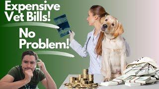 Expensive Vet Bill!  Pet Insurance, Wellness Plan, Nest egg?  Vet Knowledge