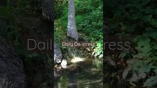 Daily De-stress | Water Creek Sound #argamon #am #shorts