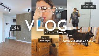 VLOG DA MUDANÇA, PASSEI MAL, EMPACOTANDO TUDO, ORGANIZAÇÃO AP NOVO, ADAPTAÇÃO DAS GATAS #vlog