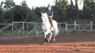 Lusitano GP