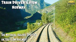 4K CABVIEW: Nordic Hulder spotted on the Flåm Railway