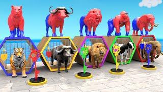 Cow Elephant Tiger Buffalo Gorilla Guess The Right Key ESCAPE ROOM CHALLENGE Animals Cage Game