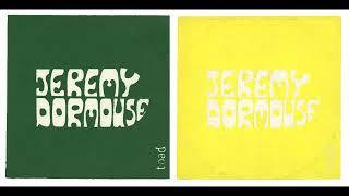 Jeremy Dormouse - Baby Blue (Bob Dylan Cover)