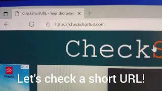 Let's Check a Short URL!