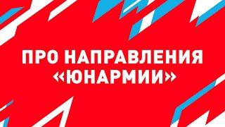 Какие направления деятельности есть в «ЮНАРМИИ»?