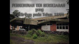 Vlog Perkebunan Bersejarah PTPN VIII