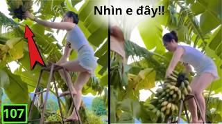 The Funniest Videos Laugh Out Loud ( P107 ) | Comedy 5 Minutes
