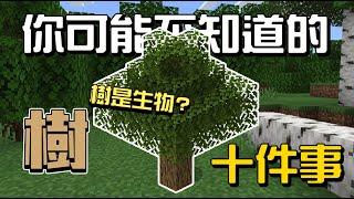 你可能不知道的樹10件事!!!【秋風麥塊生物學】