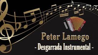 Desgarrada Instrumental Concertina Peter Lamego - Daniel Ribeiro