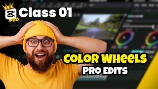 The Ultimate Guide to Using Color Wheels | Color Wheels in CapCut PC
