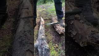 Bushcraft Tool Test: Odenwolf W Catcher #survivalknife #SurvivalGear #woodsplitting  #bushcraft