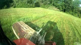 Cutting Hay with the Kubota