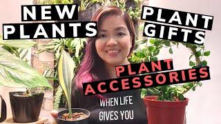 PLANT HAUL | PLANT GIFTS | PLANT ACCESSORIES  (Philippines)