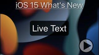 How to use Live Text in iOS 15!