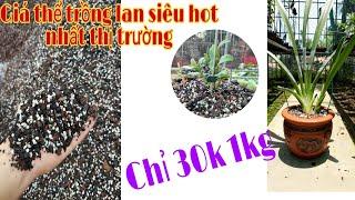 Giá thể trồng hoa lan siêu hot nhất thị trường chỉ 30k 1kg |Lh 0913 326 574|