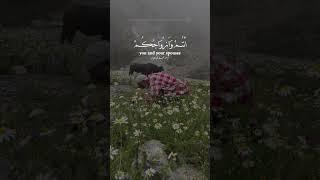 Surah Zukhruf Verse 70 | Beautiful Recitation by Muhammad Al Luhaidan | Enter Paradise with Joy