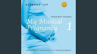 My Musical Pregnancy