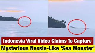 Indonesia Viral Video Claims to Capture Mysterious Nessie-Like 'Sea Monster' (Watch)