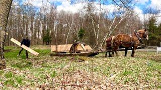 The best horse I ever had??? // New Raised Beds for our Neighbor! #625