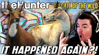 I CAN'T BELIEVE IT! Diamond & Piebald Nilgai IN THE SAME HERD?!! | Call of the Wild