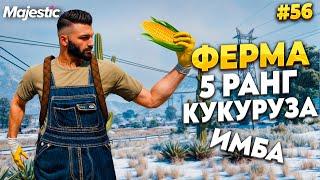 ФЕРМЕР 5 РАНГА,  КУКУРУЗА СТОИТ ДЕНЕГ! ВЫРАСТИЛ ГРИН НА MAJESTIC RP / GTA 5 RP.  ПРОМО - TAXI