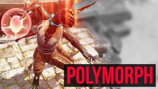 Divinity Original Sin 2 Polymorph Gameplay