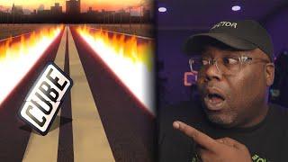 BACK TO THE FUTURE | Ice Cube - Can You Dig It | REACTION