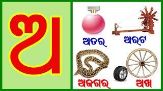 ଅ ରୁ ଅରଟ ଅଖ, ଅରଟ, ଅତର, ଅଜଗର | ଓଡିଆ ବର୍ଣ୍ଣମାଳା(Odia BarnaMala )| Odia Alphabets | a ru arata ||