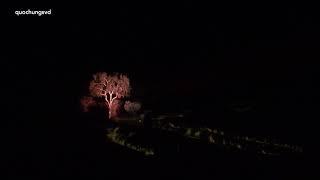 PARRTJIMA - A FESTIVAL IN LIGHT AT DESERT PARK IN ALICE SPRINGS/ NORTH TERRITORY