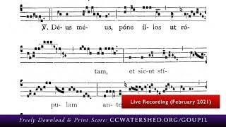 ( * Rec. Live) • GRADUAL for Sexagesima Sunday — “Sciant Gentes” Gregorian Chant