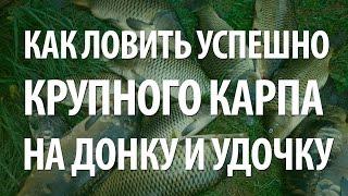 ЛОВЛЯ РЫБЫ КАРП. ПОПЛАВОЧНАЯ и ДОННАЯ СНАСТЬ для РЫБАЛКИ на КАРПА