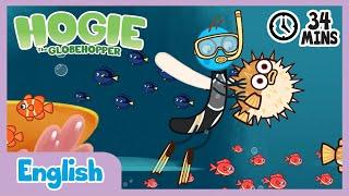 Exploring the Great Barrier Reef and Australia Hogie the Globehopper Full Episodes | Kids Cartoon