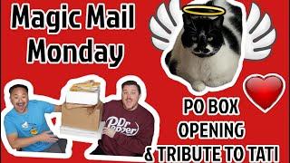 Magic Mail Monday | PO Box Opening 