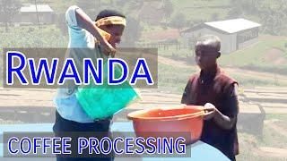 Rwanda Coffee Processing