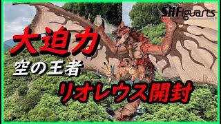 【モンハン】S.H.MonsterArts　リオレウス -20th Anniversary Edition-　開封レビュー　【モンスターハンター】