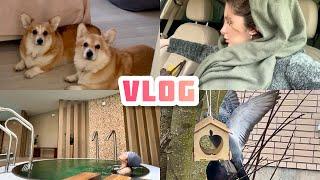 Почему я пропала  Поменяла права СПА для беременных ДРАКА ЗА ЕДУ!  VLOG