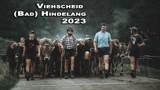 Viehscheid Hindelang 2023