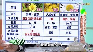 預防疾病！健康飲食建議 健康2.0 20160109 (4/4)