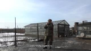 Духовые манки SchoolHunter на гуся