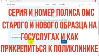 Серия и номер полиса ОМС старого и нового образца на Госуслугах и как прикрепиться к поликлинике