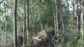 BATTLE AT THE HILL