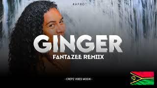 Ginger ( Fantazee Remiix )2024. 